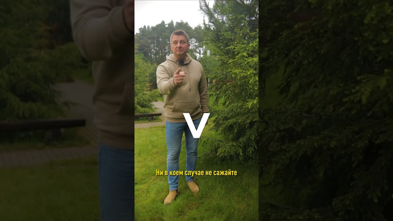 Ни в коем случае не сажайте эти деревья и кустарники у себя на участке! И вот почему!