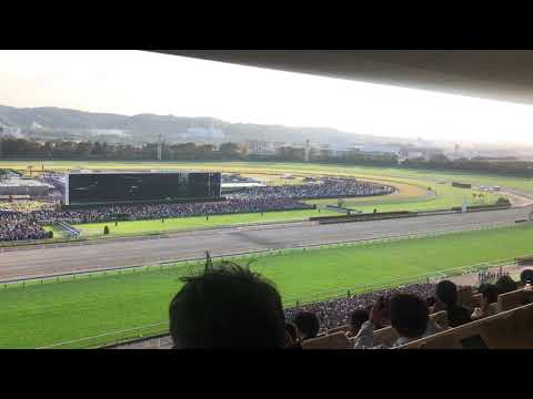 天皇賞・秋  2018 ファンファーレ