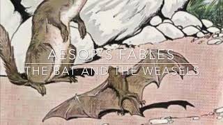 Aesop’s Fables The Bat and the Weasels Narrated by Jon Wilkins