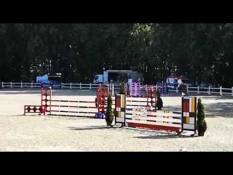 Carissima (Arezzo VDL x Carambole) 2019/08/11 ZO-B Biskupiec - 110cm I SPRZEDANA / SOLD