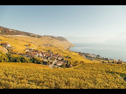 This is Montreux Riviera (full)