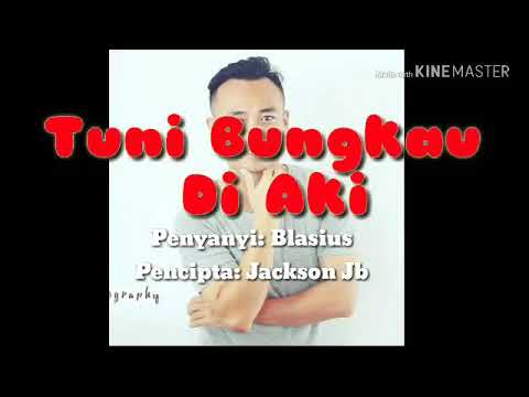 Blasius(tuni bungkau di aki) blasius