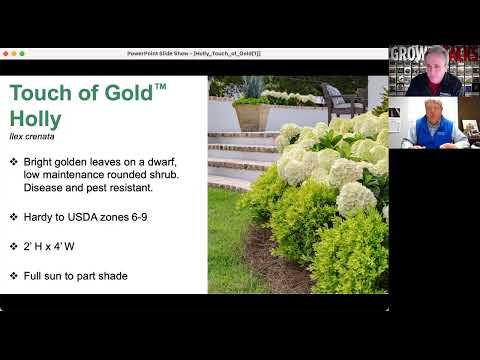 Trending Now: Plant Deveopment Services