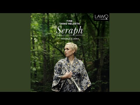 Concerto for Trumpet and Strings: I. Allegro moderato