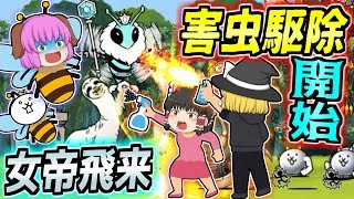 【ゆっくり実況】宇宙の彼方から女王蜂が飛来！？最後の降臨ステージ、女帝飛来で害虫駆除大作戦！！【にゃんこ大戦争#117】