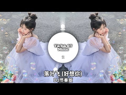 赵薇薇 - 落叶飞 (好想你) (DJ节奏版) L&aacute; Thu Rơi (Nhớ Anh Nhiều) (Remix TikTok) - Triệu Vi Vi