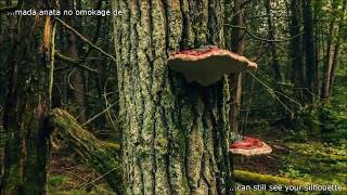 The GazettE - 虚蜩「LYRIC VIDEO」