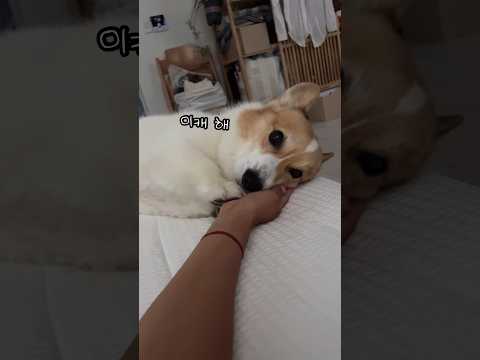 만져달라는데 안만져줬더니..