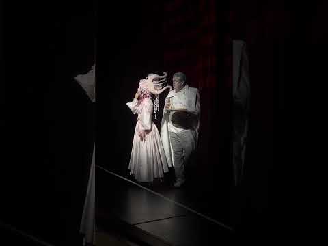 All’ombra amena, Il Viaggio a Reims - Irene Celle