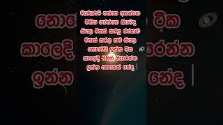 Download lagu නිවන් දකින්න කාලය පැමිණ ඇත. #love #nature #flowers mp3 Download lagu නිවන් දකින්න කාලය පැමිණ ඇත. #love #nature #flowers mp3