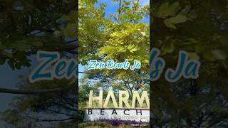 Smoothies Bowls anyone? Zen Bowls Ja is the new kid on the block. #jamaica  #montegobay