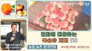 ✨[복숭아 사랑이야기] 변화에 대응하는 복숭아 재배(1) _농업,농촌 환경변화 / 식품사막화, 이상기상