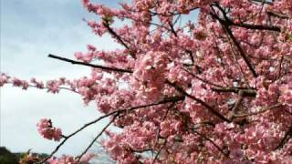 【合唱版】SMAP ありがとう