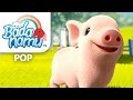 Pig In A Wig Badanamu Nursery Rhymes ABC Songs Kids Songs And Lullabies
