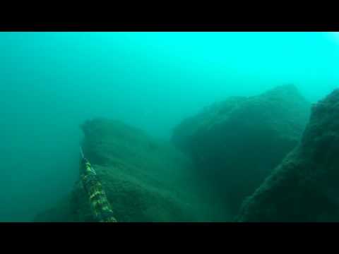 Esperita con el cyrano evo