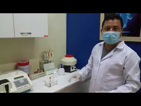 Inmunomoduladores en la diabetes tipo 1 Puede ser si la diabetes sea la candidiasis