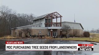 MDC purchasing tree seeds from landowners