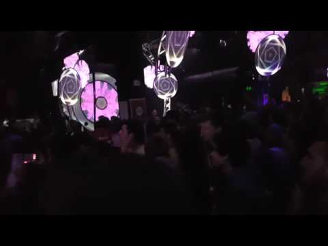 dubquake 10 years Genève OBF feat Warrior Queen poison dart