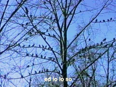 Andrea Laszlo De Simone - Aspetterò