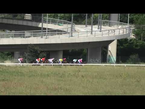 Trka "Memorijal Dr.Nenada Nenadovića" 26.05.2019 Wellington - Đorđe Perović