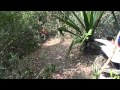 Dr Xixa DJ Rafa E Quico Rá Rá Rá Trilha No Parque Da Cidade