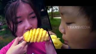 Download lagu Traveling Seru Bareng Keluarga Dengan Camper Van | SI UNYIL (13/01/23) mp3