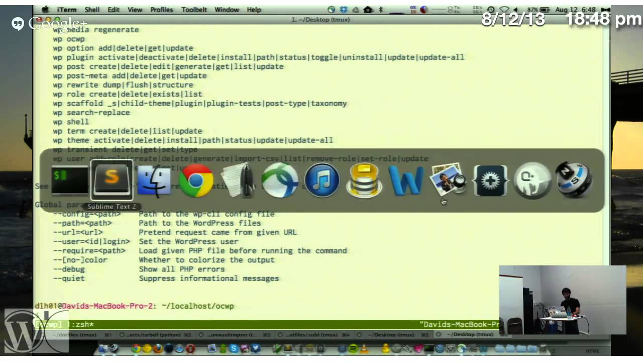 OC WordPress Developer Meetup - Aug 12 2013