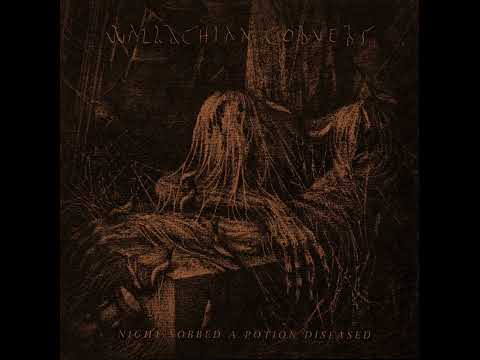 Wallachian Cobwebs - An Accumulation of Anguish (dark medieval/ dungeon synth/United States)