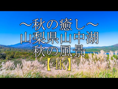 ~ Cura de outono ~ Lago Yamanaka, província de Yamanashi Cenário de outono visto da plataforma panorâmica 2022 Apresentação de slides de fotos [4K]