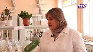Видео