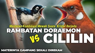 Download lagu METERI KRISTAL!!! KOMBINASI RAMBATAN DORAEMON VS CILILIN KUNTI || MASTERAN CILILIN SAMBUNG RAMBATAN mp3