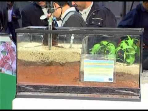 Almería Noticias Canal 28 TV -Expo Agro Made in Almería