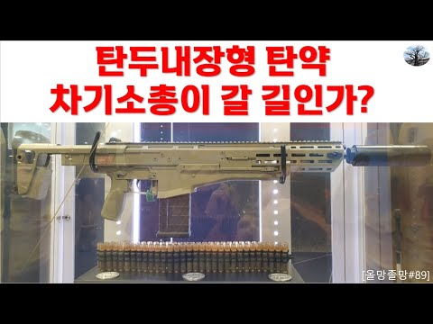 탄두내장형 탄약, 차기소총이 갈 길인가?