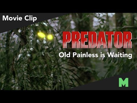 Old Painless Is Waiting | Predator (1987) (Movie Clip HD)