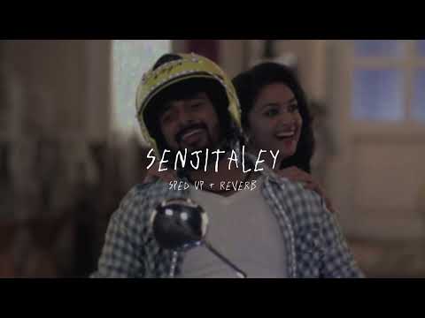 Senjitaley - sped up + reverb (From "Remo")
