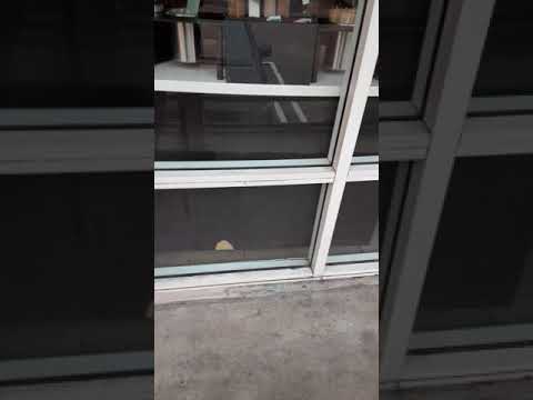 SATURDAY NIGHT LIVE KURT KELLY SIGNATURE VOICE OVER ACTOR FOR  Dyke & Fats RETURNS DEC 7 | 11:30ET 1