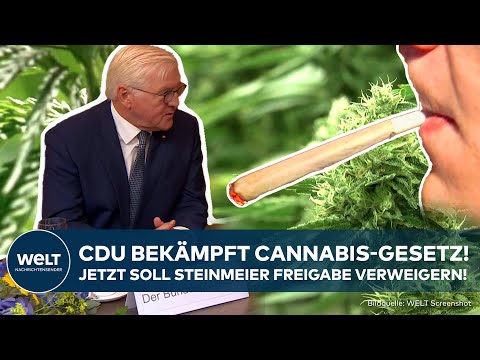 CANNABIS LEGALISIERUNG: CDU fordert Bundespräsident auf, Gesetz nicht zu unterzeichnen!