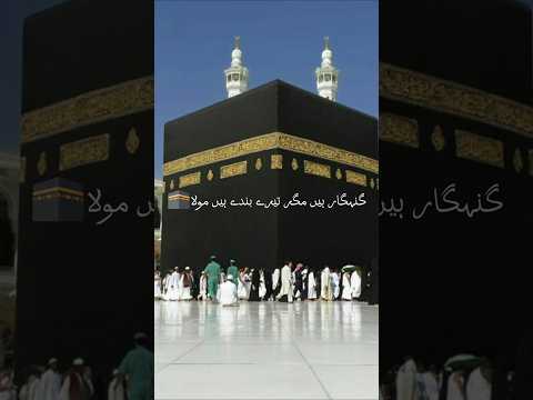 Peer Ajmal Raza Qadri quotes dua status #jumma #quotes #motivational #islamicstatus #views