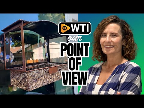 Lilyang Window Bird Feeder - WTI product video review