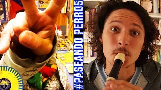 Manu Chao: EL DESAPARECIDO  (Coronacactus… EL RETORNO 15) avec Gabriel Bonnin