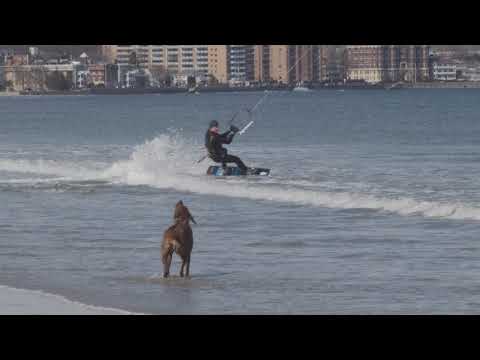 download lagu mp3 mp4 Braw Dogs, download lagu Braw Dogs gratis, unduh video klip Braw Dogs