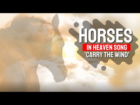 Country Song about Horses in Heaven | Official Video of Carry The Wind - Rob Georg | Country Music