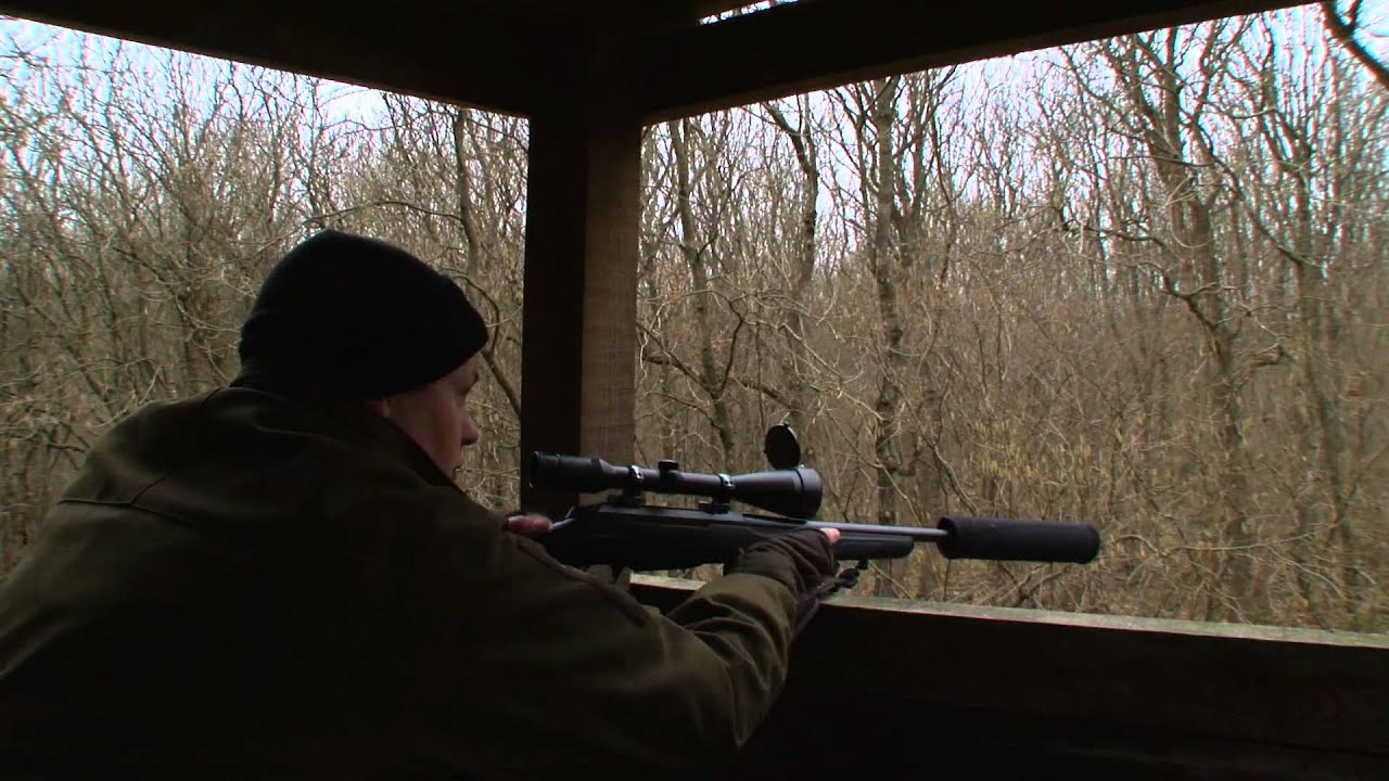 Deer Stalking - an introduction