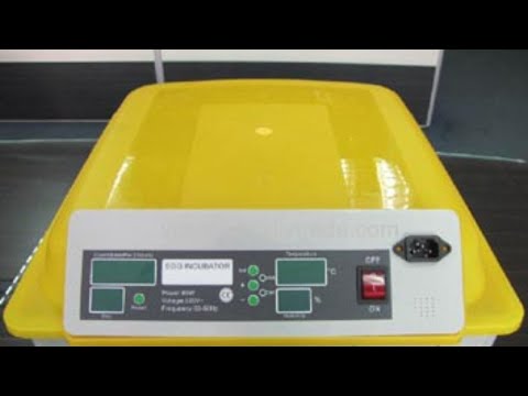 WZN Inkubatoreinstellungen erklärt