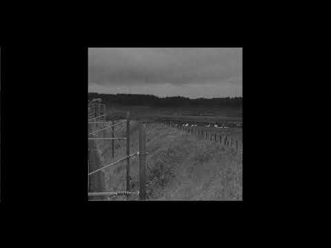 [FREE] EKKSTACY x Alex G x Trippie Redd | sad indie folk acoustic Type Beat "starry " @prodmiercoles