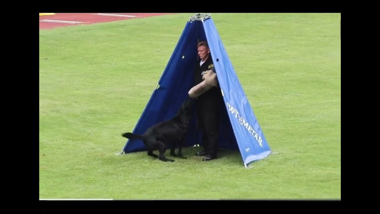 Ixxo IGP3 male BSP2024