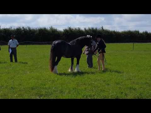 Fawn Surman  and Panda