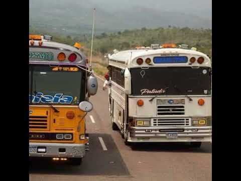 Playeros para buseros