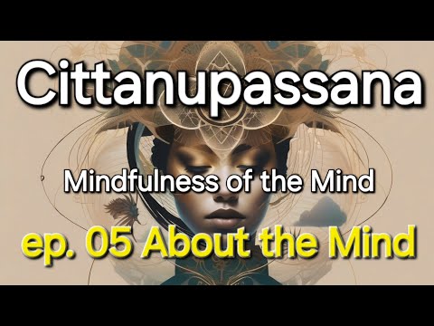 Journey of Mindfulness ep. 05 Cittanupassana (About the mind)
