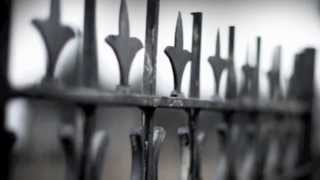 Sea Wolf - Leaves in the River Music Video Project